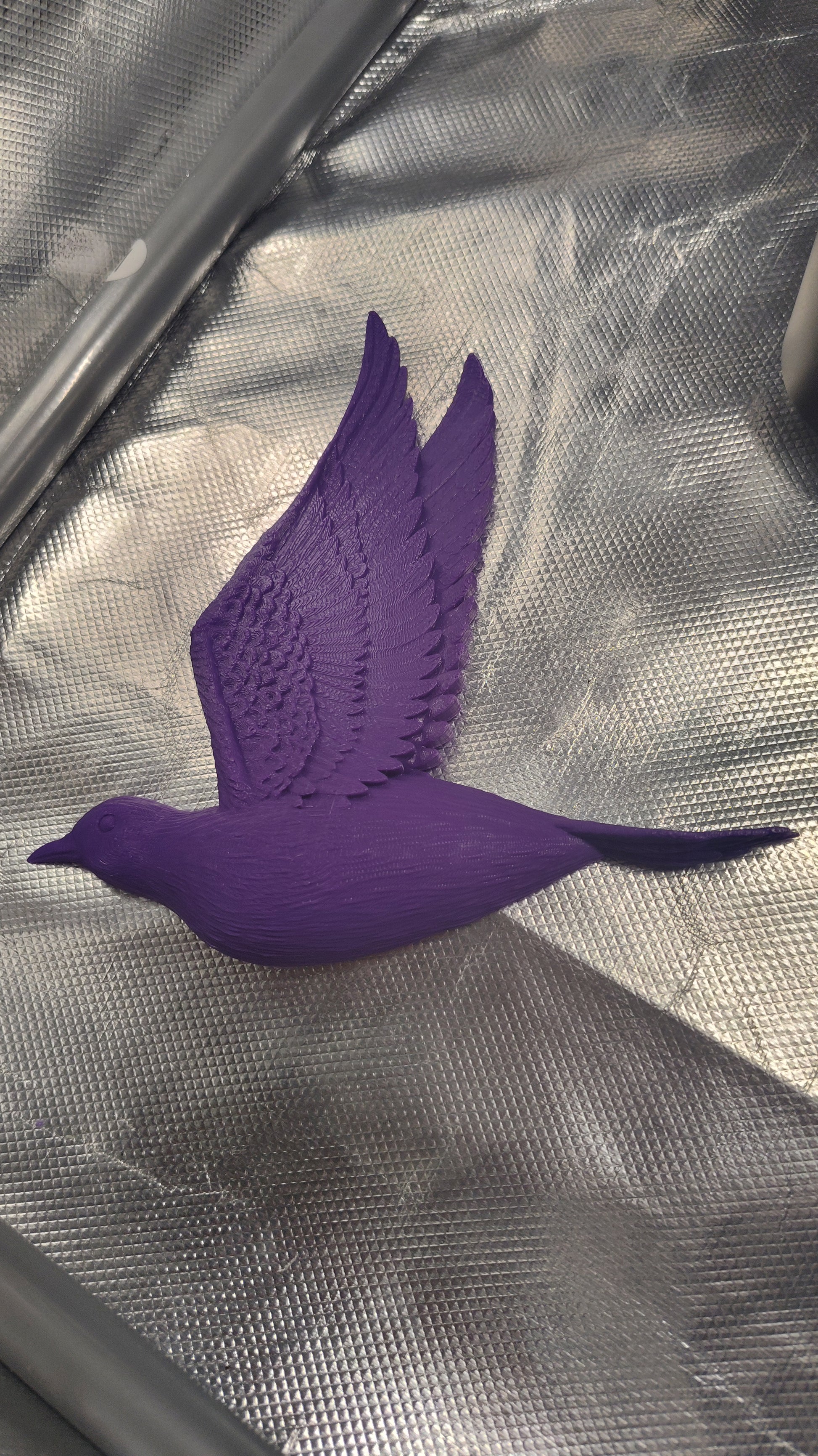 This is Bird 1 in midnight purple